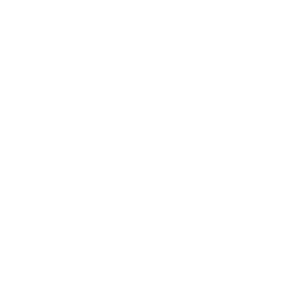 Z hotels
