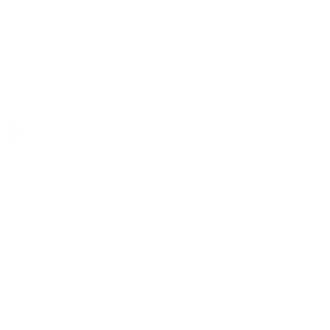 TNI 4x logo rni
