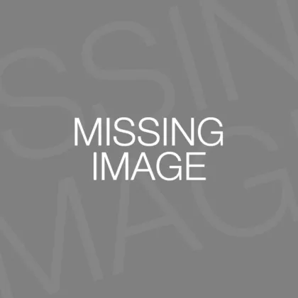 Missing image